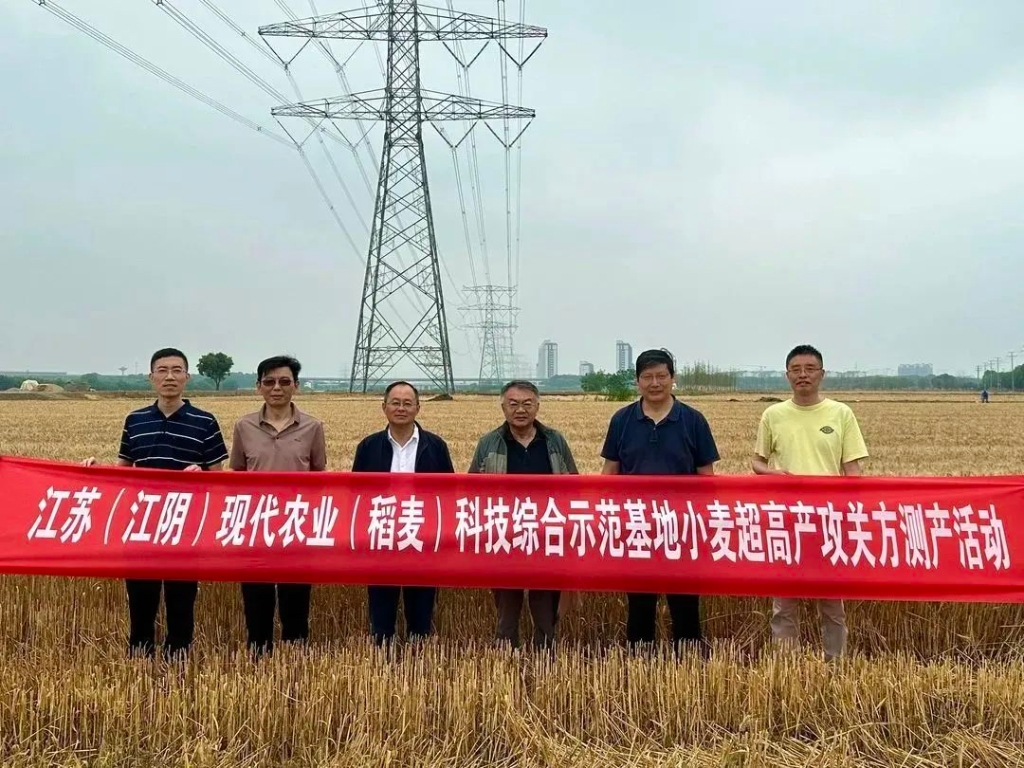 639.1公斤！創無錫小麥高產新紀錄！